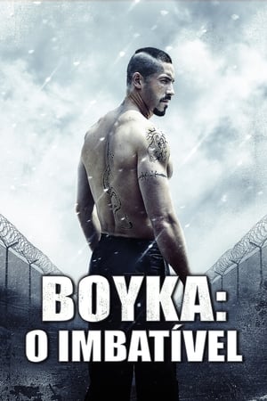 Boyka O Imbatível